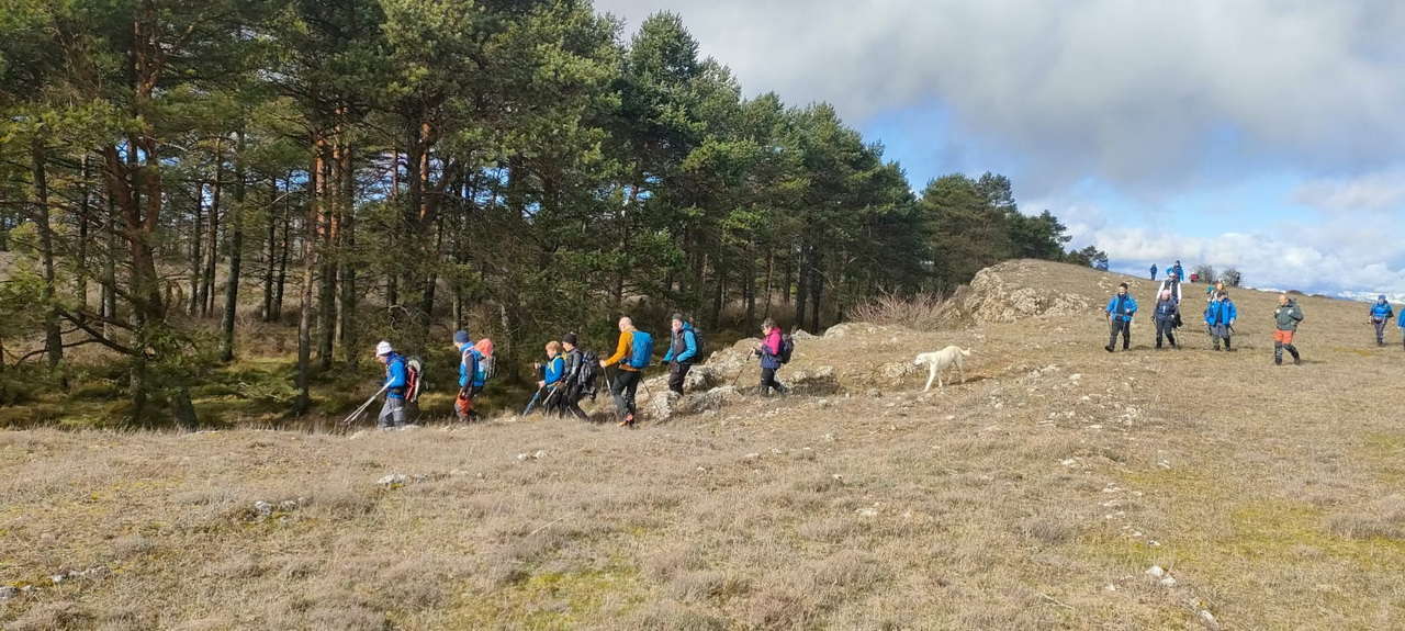 WhatsApp Image 2026-02-10 at 14.47.46 (3)